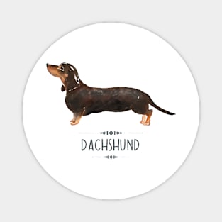 Dachshund Magnet